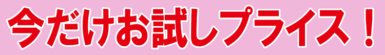 お試しプライス